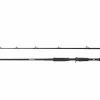 Abu Garcia BEAST Pike 842XH 40-140g Casting