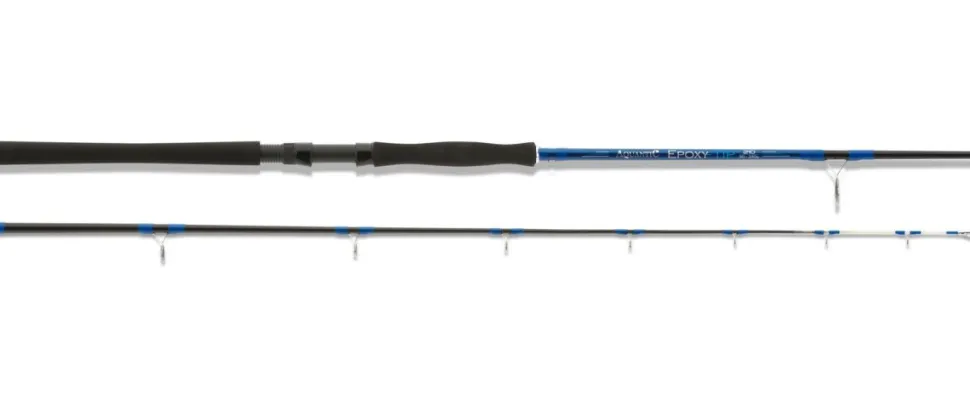 Aquantic Epoxy Tip 2,10m / 80-240g Pilkrute Meeresrute