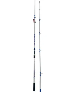 Big Fish Combo – Lineaeffe Coast Slinger 3,60m 200g Brandungsrute + Vigor Power 60 Spinnrolle mit Schnur | Surfcasting Set
