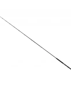 Bullseye Nazgul 300 LR 40lbs Wallerrute Ansitz