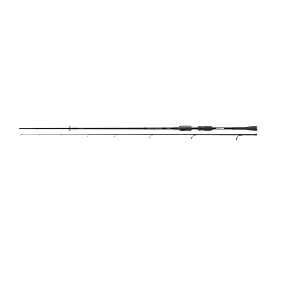 Corman GTR 2,25m 70-120g Spinnrute Hechtrute