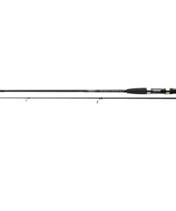 Cormoran I-Cor Spinncombo 1,80m 3-10g + 2500 Spinnrolle Finesse Angelset