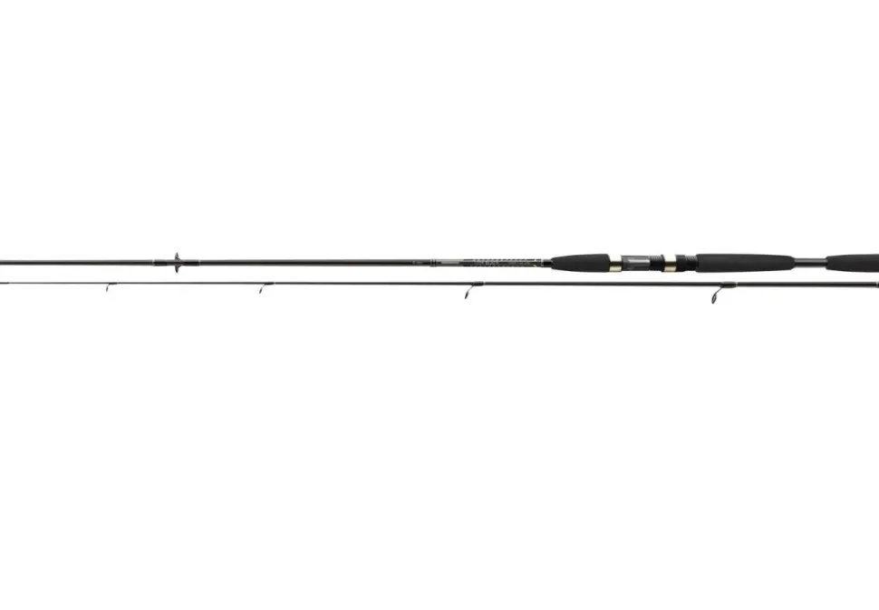 Cormoran I-Cor Spinncombo 1,80m 3-10g + 2500 Spinnrolle Finesse Angelset