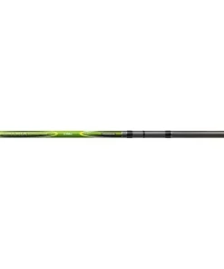 Cormoran Riparia Bolognese 3.00m -30g Teleskoprute