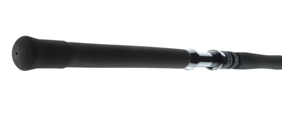 Daiwa BG Big Game 1,68m 20-30lbs Big Game Bootsrute