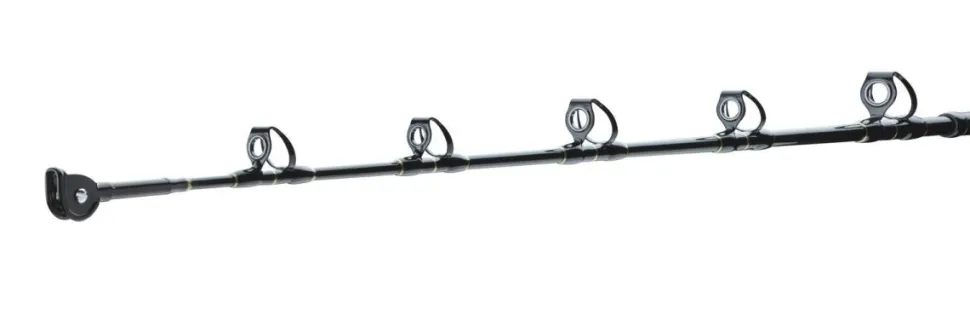 Daiwa BG Big Game 1,68m 20-30lbs Big Game Bootsrute