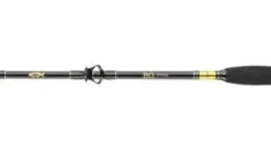 Daiwa BG Big Game 1,68m 20-30lbs Big Game Bootsrute