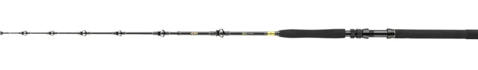 Daiwa BG Big Game 1,68m 20-30lbs Big Game Bootsrute
