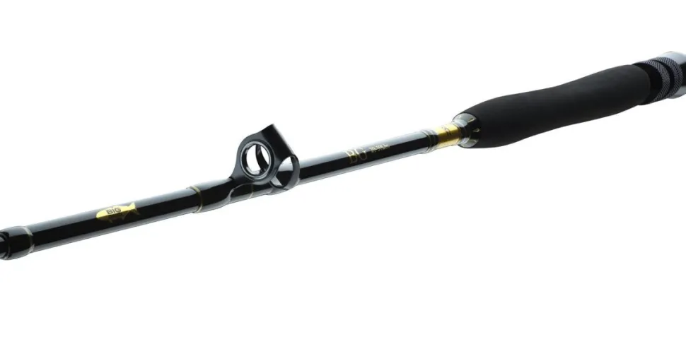 Daiwa BG Big Game 1,68m 20-30lbs Big Game Bootsrute