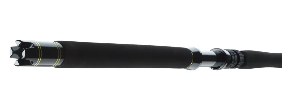 Daiwa BG Big Game 1,68m 20-30lbs Big Game Bootsrute