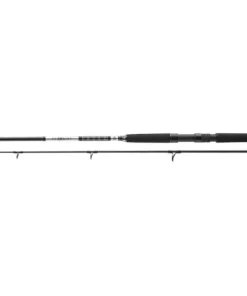 Daiwa BG Offshore Pilk 3,00m / 50-165g Bootsrute Pilkrute Meeresrute