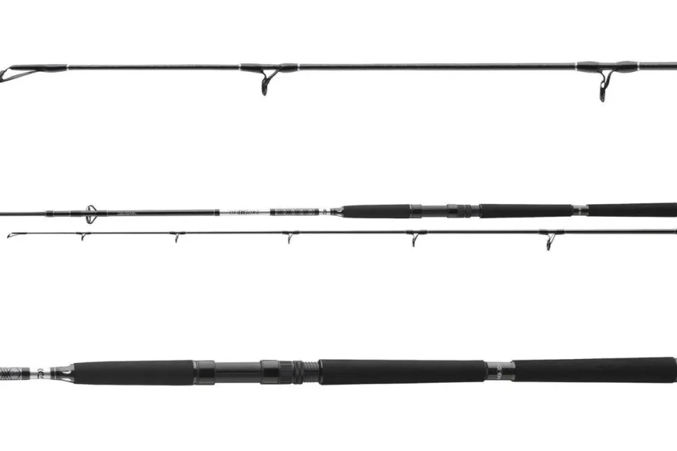 Daiwa BG Offshore Pilk 2,40m / 40-125g Bootsrute Pilkrute Meeresrute