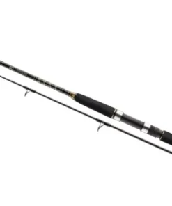 Daiwa BG Pilk 2,70m 40-125g Bootsrute Meeresrute