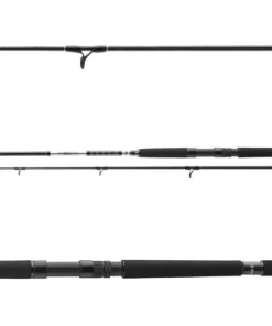 Daiwa BG Pilk 2,10m 40-125g Pilkrute Meeresrute