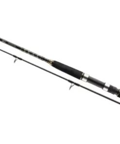 Daiwa BG Popper 2,30m 40-150g Bootsrute Meeresrute