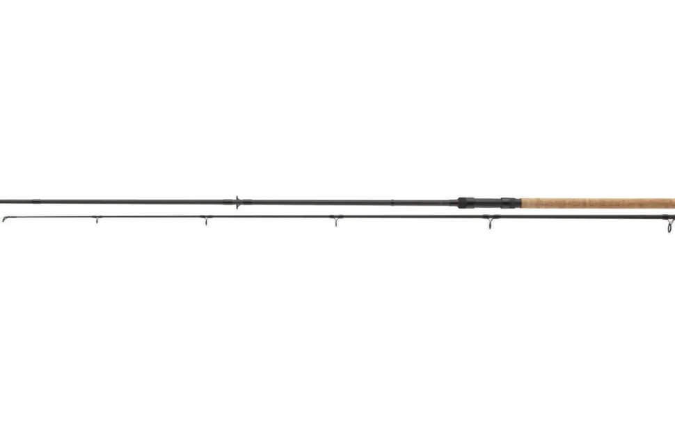 Daiwa Black Widow XT Bait 3,00m 50-125g Allround Grundrute 2-teilig Allroundrute