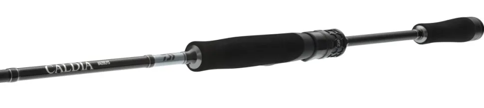 Daiwa Caldia Extra Fast Spin Spinnrute