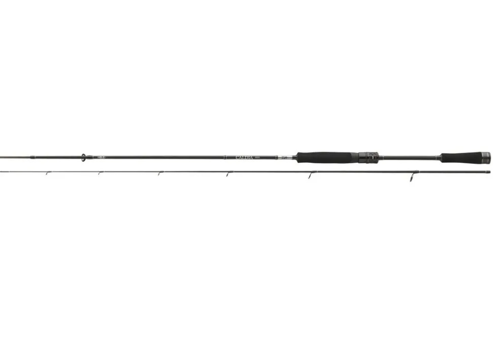 Daiwa Caldia Extra Fast Spin Spinnrute