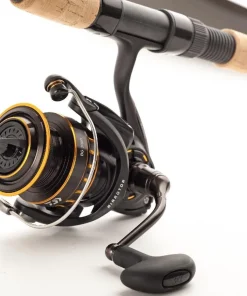 Daiwa Combo BG INSHORE Spinning 701M 2,13m 10-60g Spinrute + BG 3000 Rolle Set