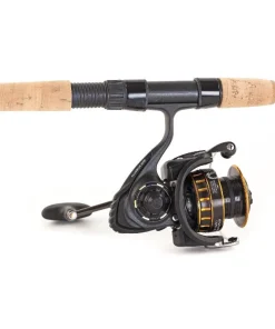 Daiwa Combo BG INSHORE Spinning 701M 2,13m 10-60g Spinrute + BG 3000 Rolle Set