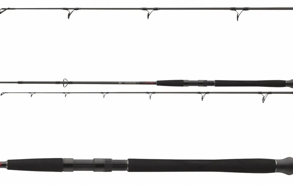 Daiwa Exceler Catfish Spin Welsrute Spinnrute Wallerspinnrute Wallerfischen