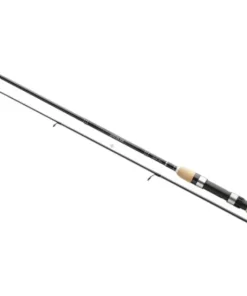 Daiwa Exceler Spin 2,70m 40-80g