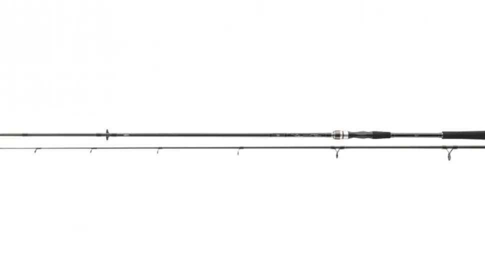 Daiwa Exceler Spin 3,00m 15-50g Spinnrute