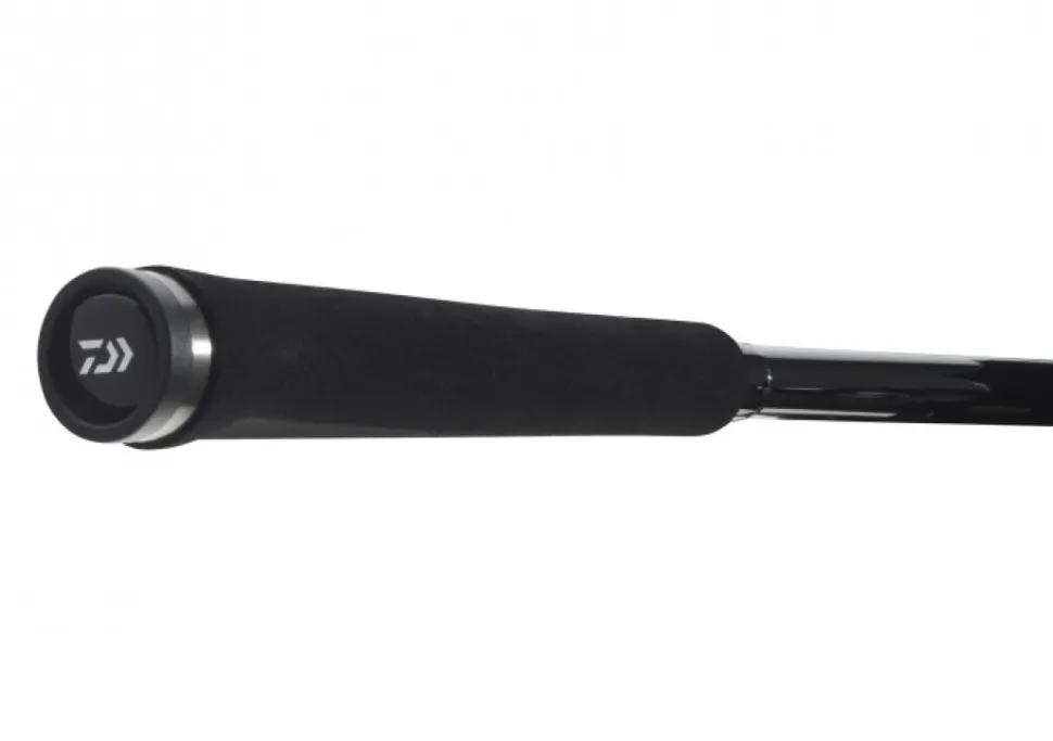 Daiwa Exceler Spin 2,70m 10-40g Spinnrute