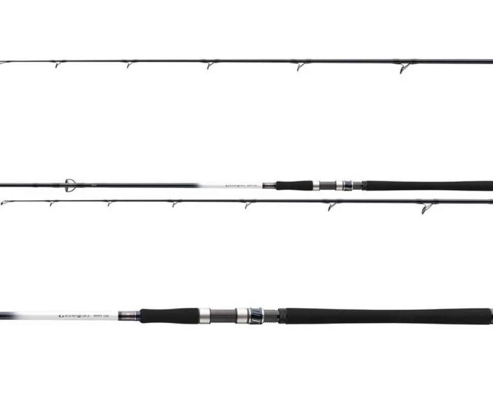 Daiwa Grandwave Cod 2,40m 150-300g Pilkrute Dorschrute Meeresrute