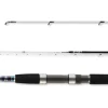 Daiwa Grandwave Seatrout 3,00m 10-40g Spinnrute für Meerforelle