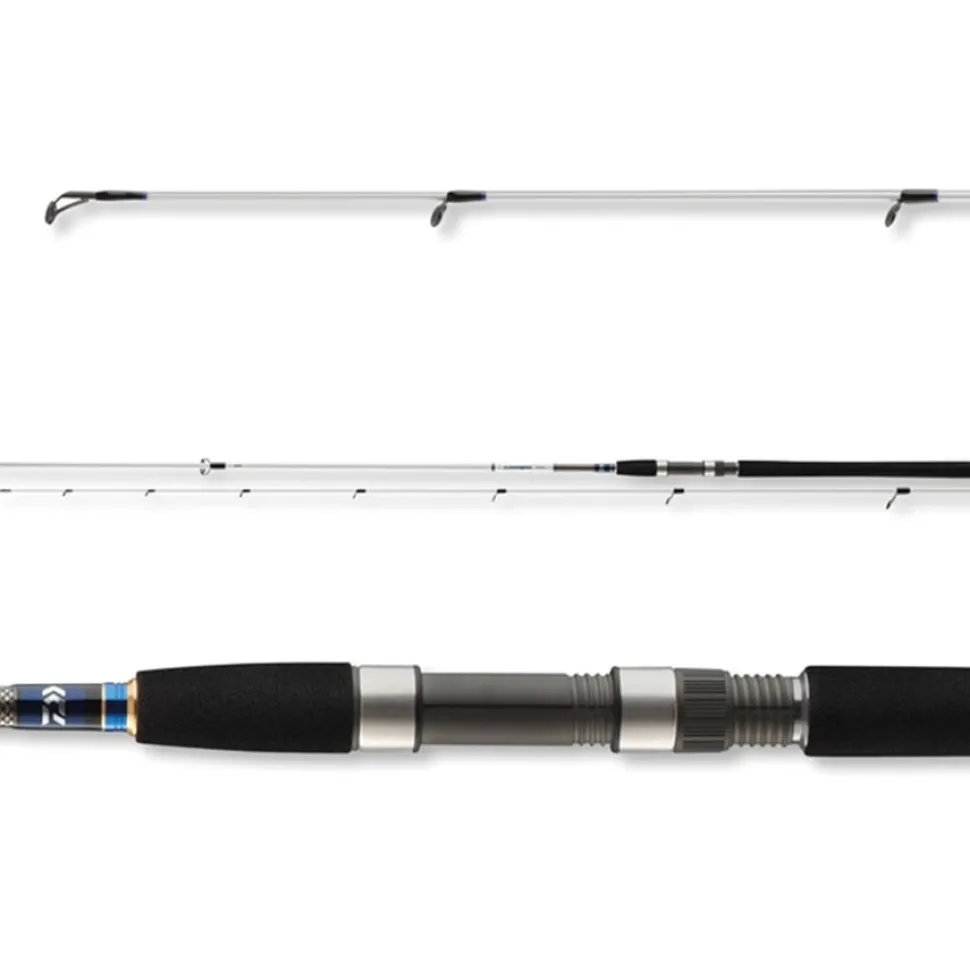 Daiwa Grandwave Seatrout 3,00m 10-40g Spinnrute für Meerforelle