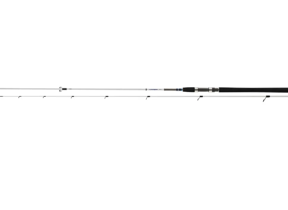 Daiwa Grandwave Seatrout 3,00m 10-40g Spinnrute für Meerforelle