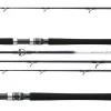Daiwa Grandwave Travel 2,40m 50-125g 4-teilig Reiserute Meeresrute Pilkrute