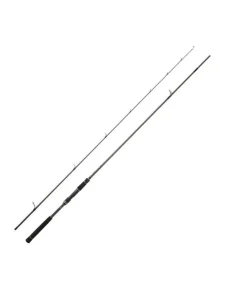 Daiwa Labrax AGS 100M-N 3,05m 10-50g Spinnrute Japan