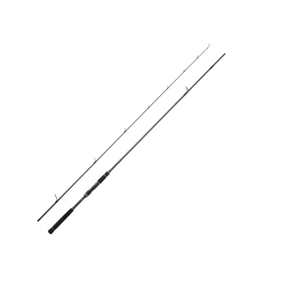 Daiwa Labrax AGS 100M-N 3,05m 10-50g Spinnrute Japan