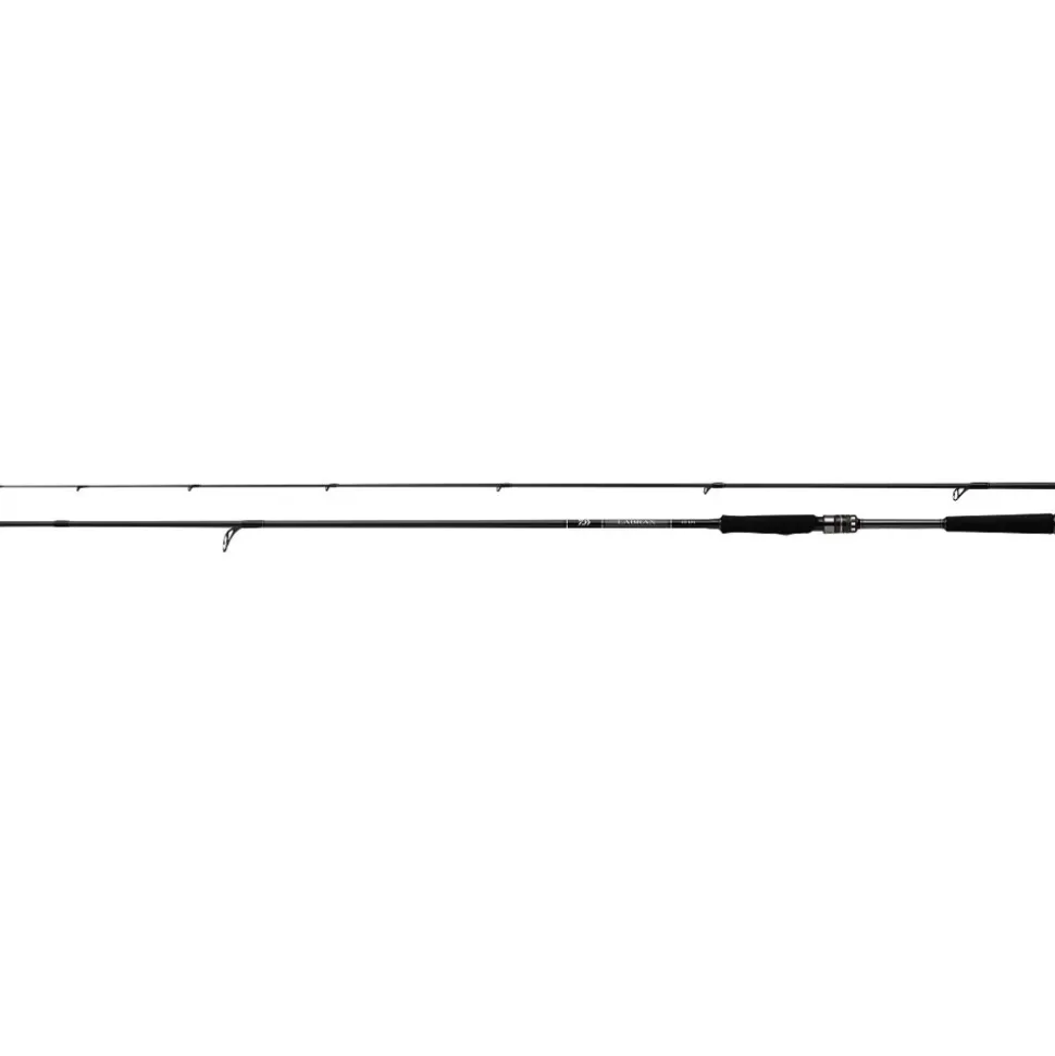 Daiwa Labrax AGS 93M-N 2,82m 10-50g Spinnrute Japan