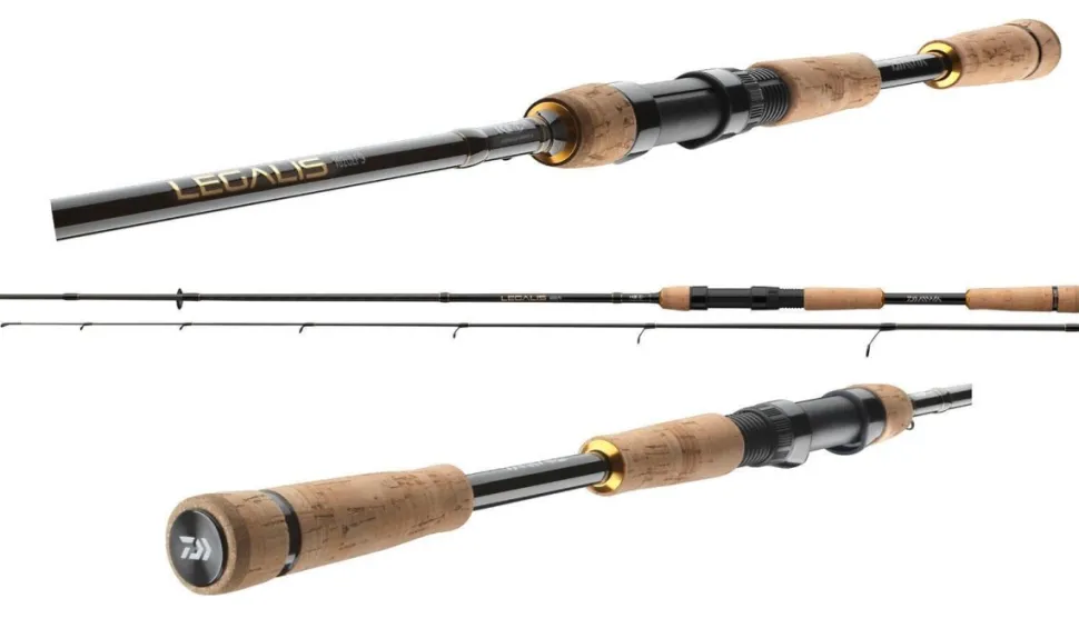 Daiwa Legalis Solid Jiggerspin Spinnrute Gummifischrute