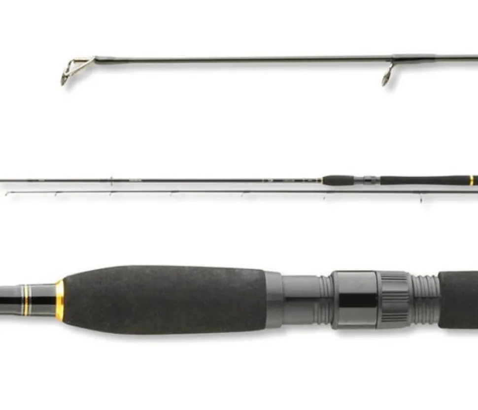 Daiwa Legalis Spin 2.40m 50-100g