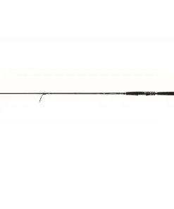 Daiwa Morethan Wisemen AGS 90L 2,74m 5-24g