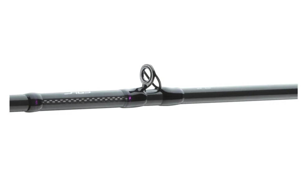 Daiwa Prorex AGS Baitcaster Baitcastrute