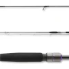 Daiwa Prorex AGS Spin 2,70m 10-30g Spinnrute Hechtrute