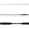Daiwa Prorex X Spin 2,70m 10-30g Spinnrute Spin Rute 2-teilig