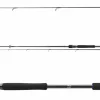 Daiwa Prorex XR Spin 2,25m 7-21g