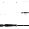 Daiwa Prorex XR Spin 2,40m 15-50g Spinnrute