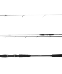 Daiwa Seahunter X Seatrout 3,10m 10-40g Meerforellenrute Spinnrute
