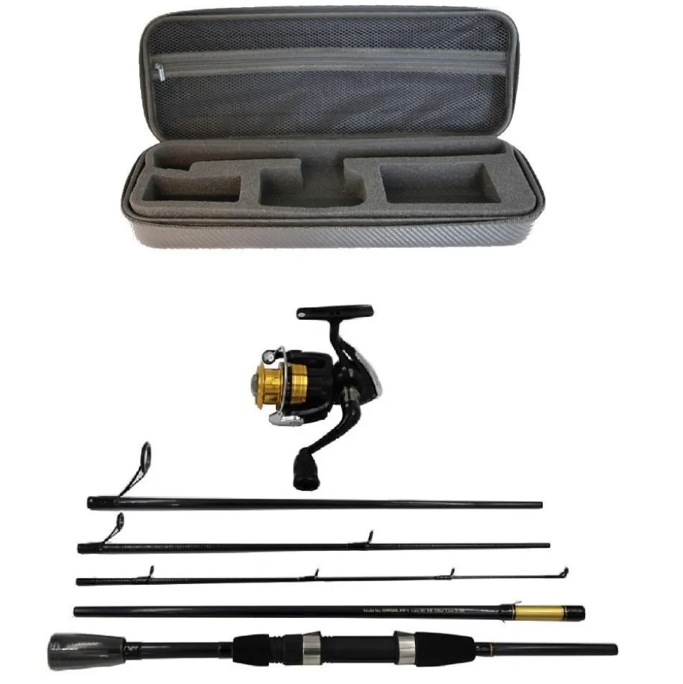 Daiwa Sweepfire Combo Reiserute 1,90m 5-20g 5-teilige Spinnrute mit Hardcase