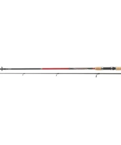 Daiwa Sweepfire Spin 3,00m 10-40g Spinnrute 2-teilig Spin Rute