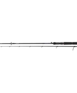 Daiwa Tournament SW AGS 2.70m 14-42g