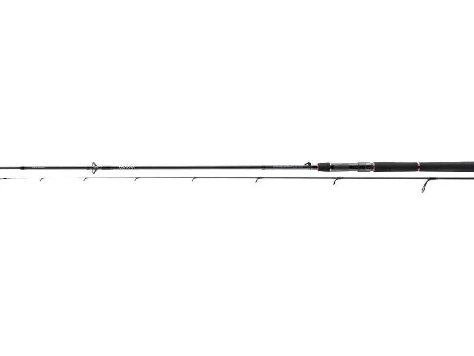 Daiwa Tournament SW AGS 2.40m 28-84g
