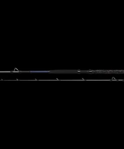 DAM Imax Boat 7" / 2,10m 100-300g / 20lbs Bootsrute Meeresrute 2-teilig
